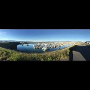 Meet your Posher, Tara